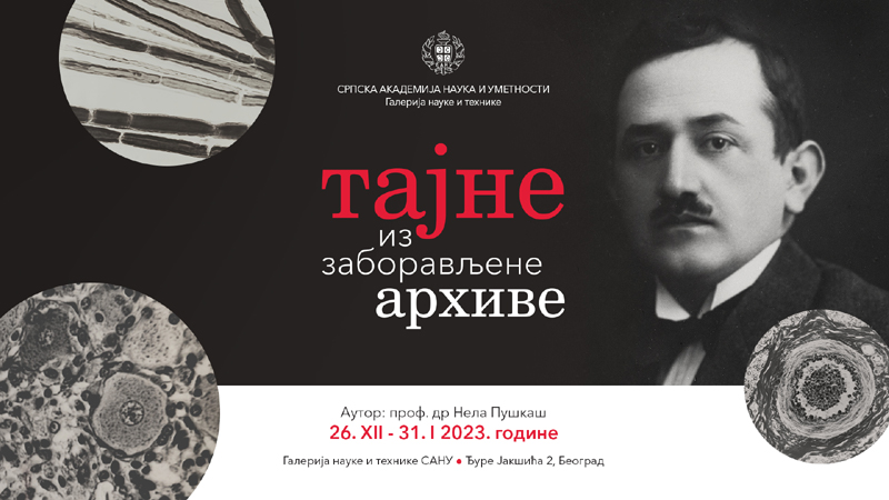 Tajna zaboravljene arhive
